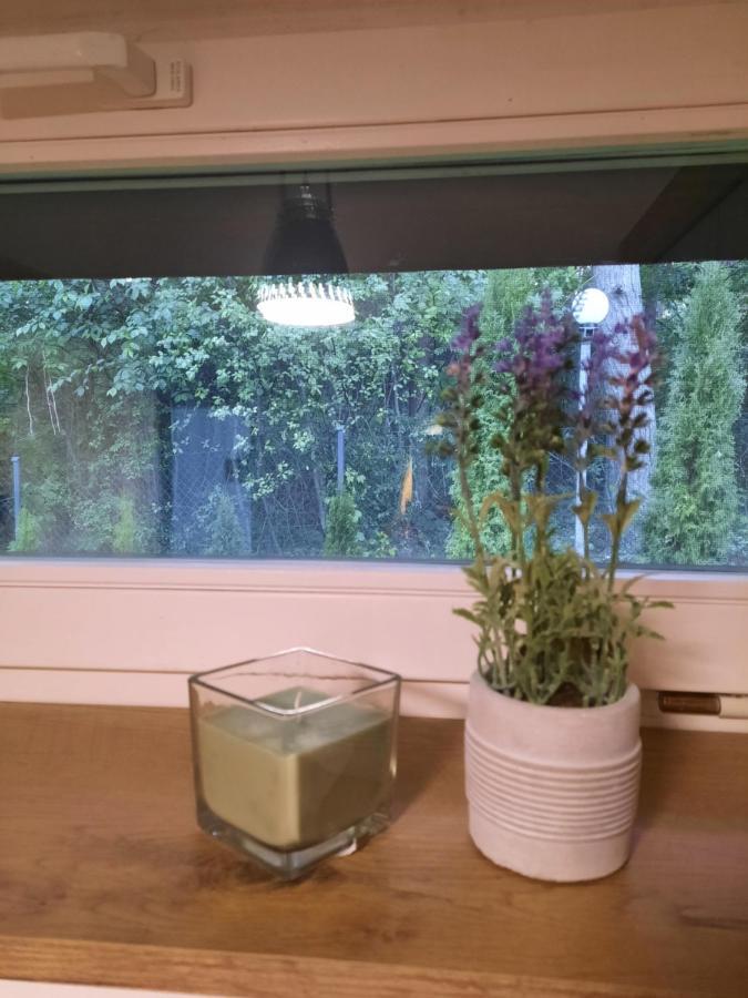 Zacisze Huta Villa Huta  Eksteriør bilde